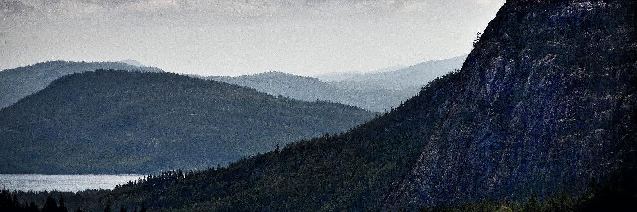 StringoTM's profile banner image