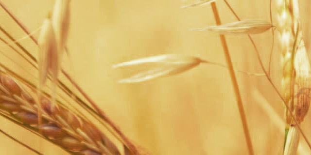 MODERN MAGANDA banner