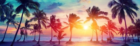 CrisseBP's profile banner image