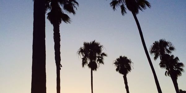 estherynasm's profile banner image