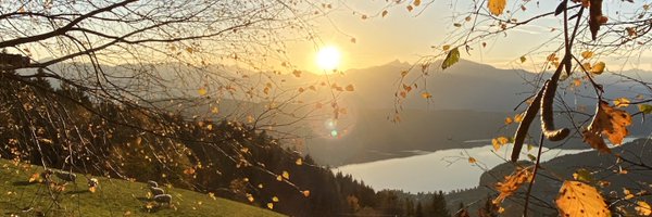 _gregor__ Profile Banner