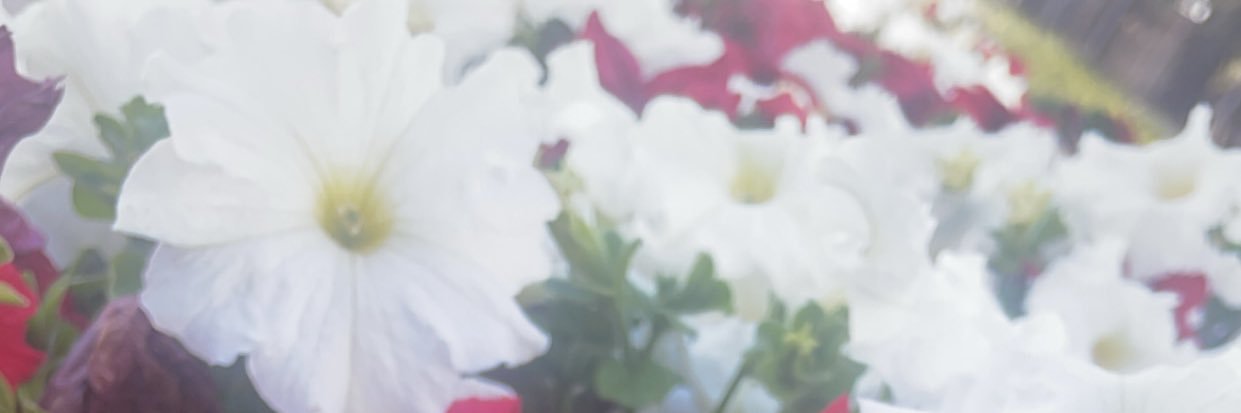 د.محمد العازمي banner