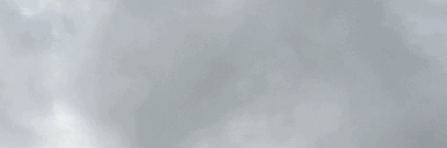 محمد الشمري banner