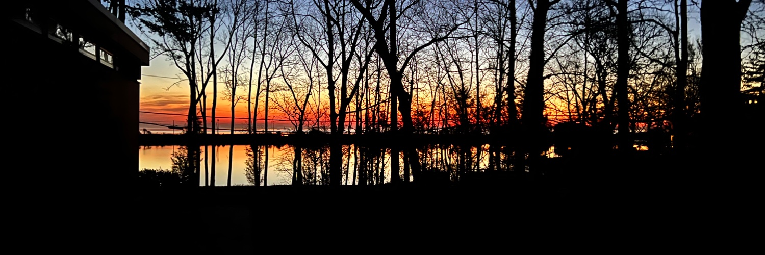 kcarbenson's profile banner image