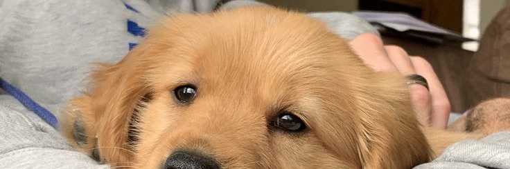 HeydiUlloa_'s profile banner image