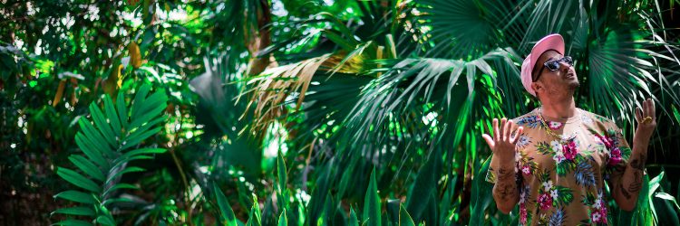 bleubirdy's profile banner image