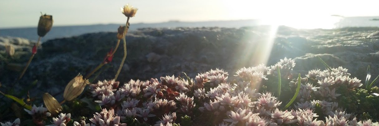 FilipNiklas's profile banner image