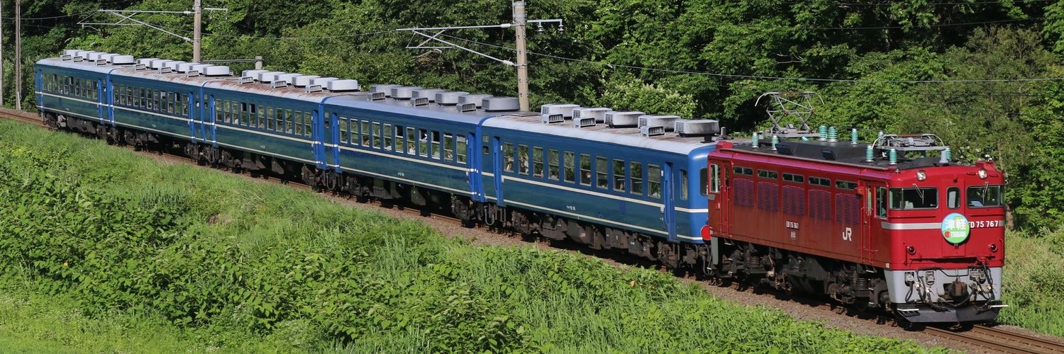TravelCecum's profile banner image