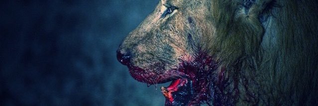 Jgotdat_'s profile banner image