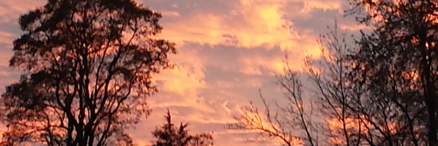 browdoctor's profile banner image