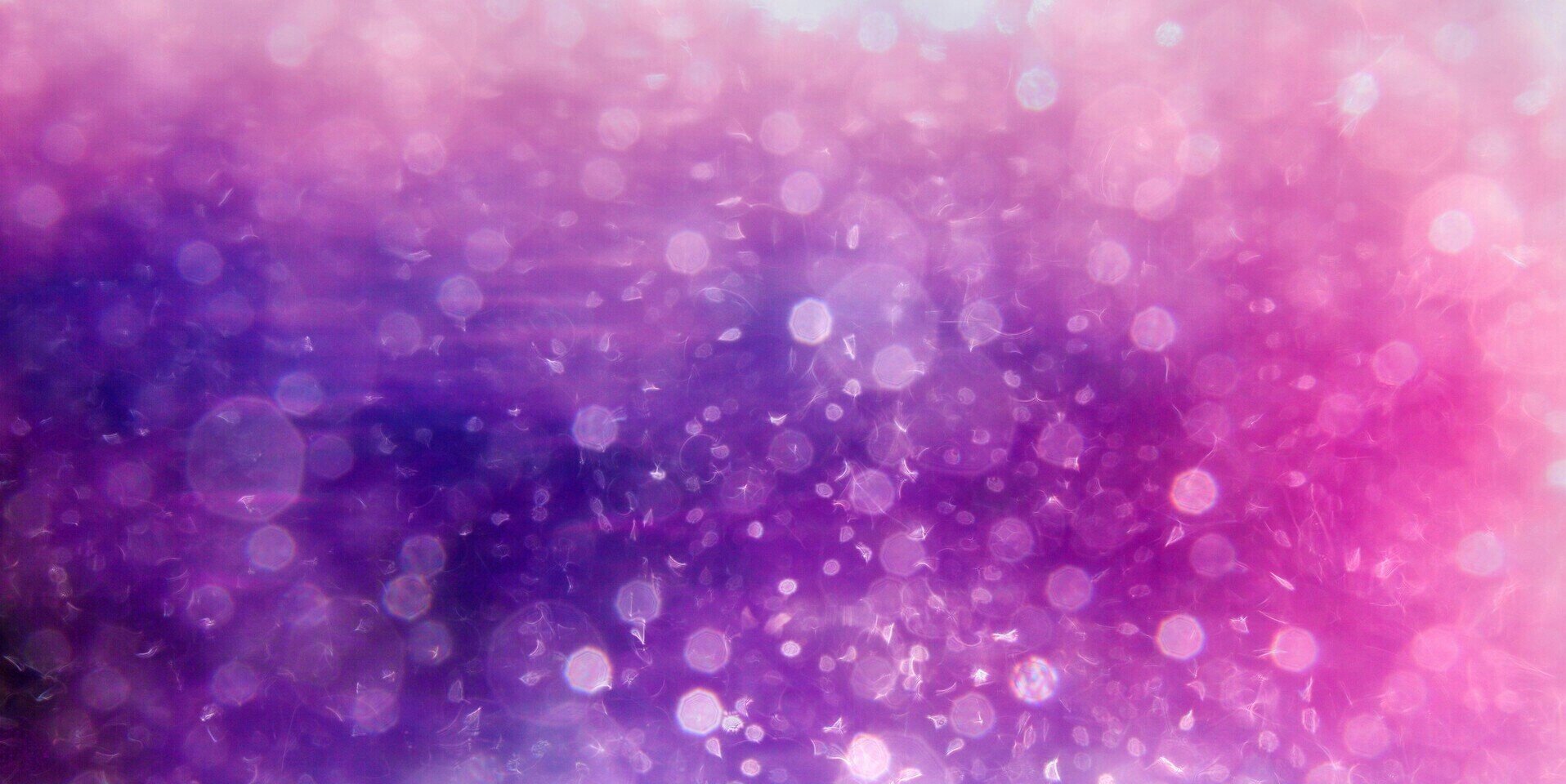 41_256's profile banner image