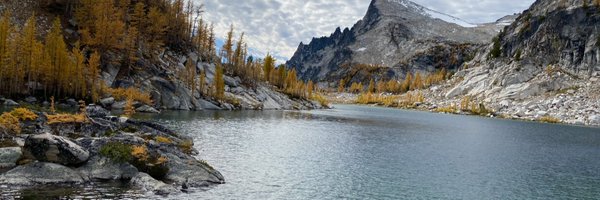 msorror Profile Banner