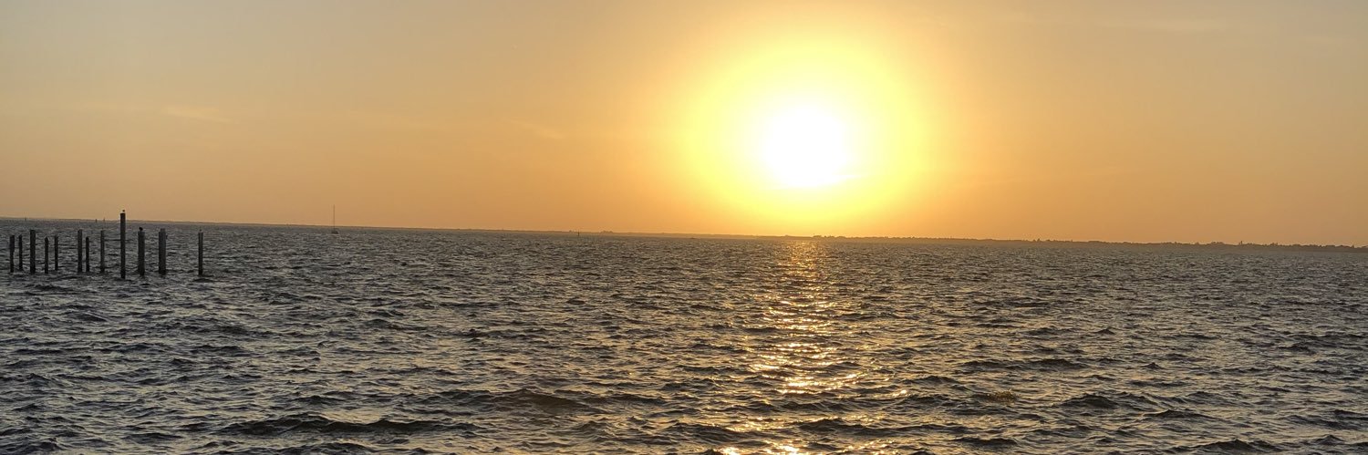 TaylorMontes's profile banner image