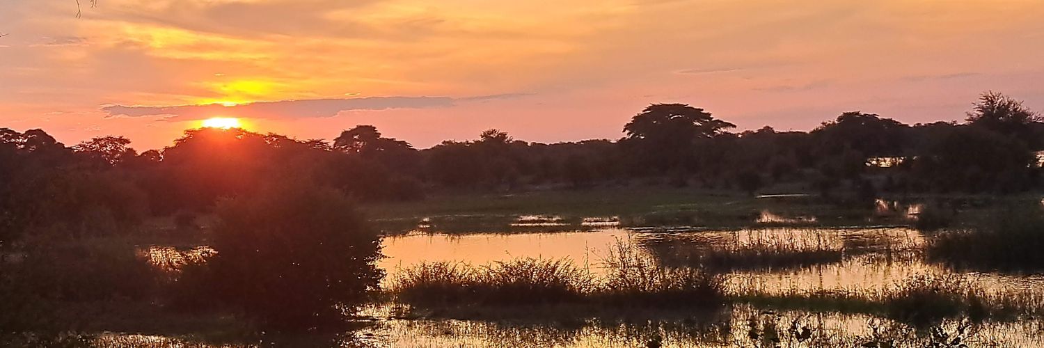 Katharina Sperber 🇺🇦 banner