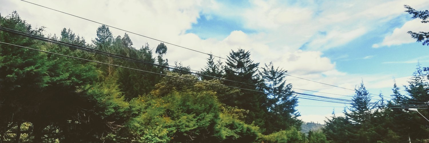 Helicobacter pylori banner