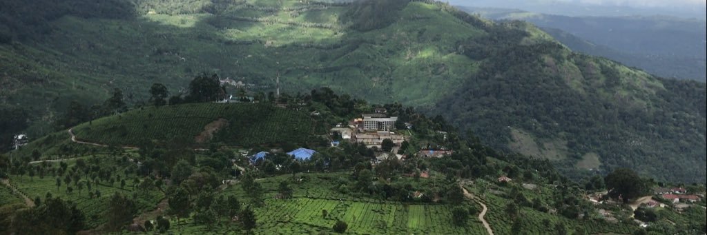 barwani8's profile banner image
