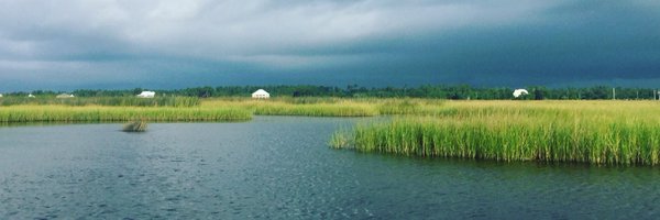 BeastManSteve Profile Banner