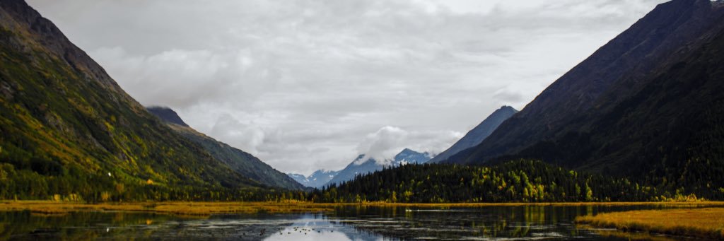 nicbovee's profile banner image