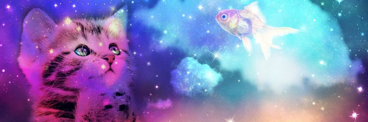 babelfishes's profile banner image