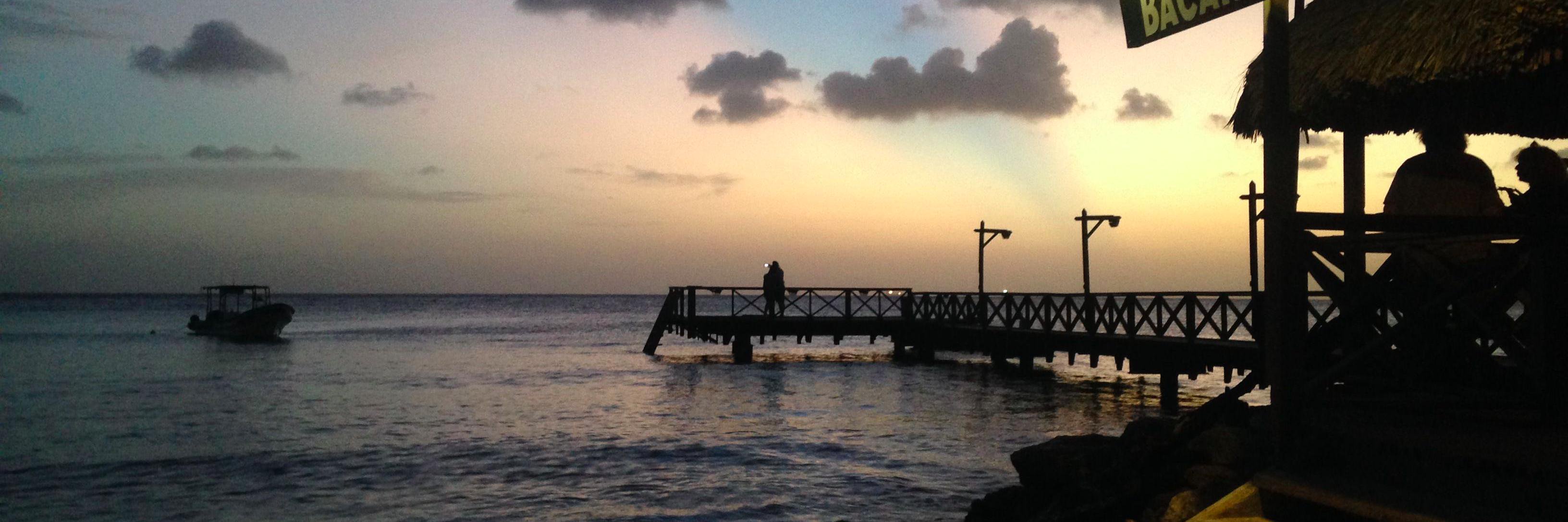roxannetweet's profile banner image