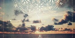 darby_wirth's profile banner image
