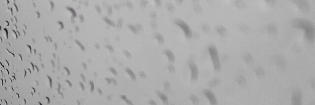 MshortySheree's profile banner image