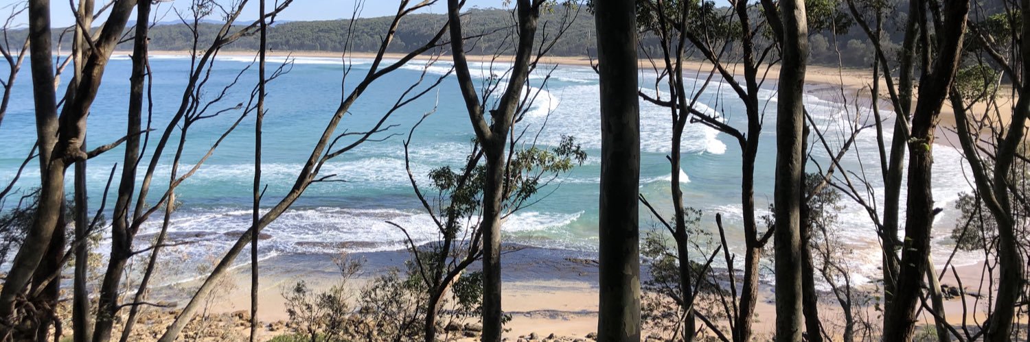 Dr Christopher Patterson banner