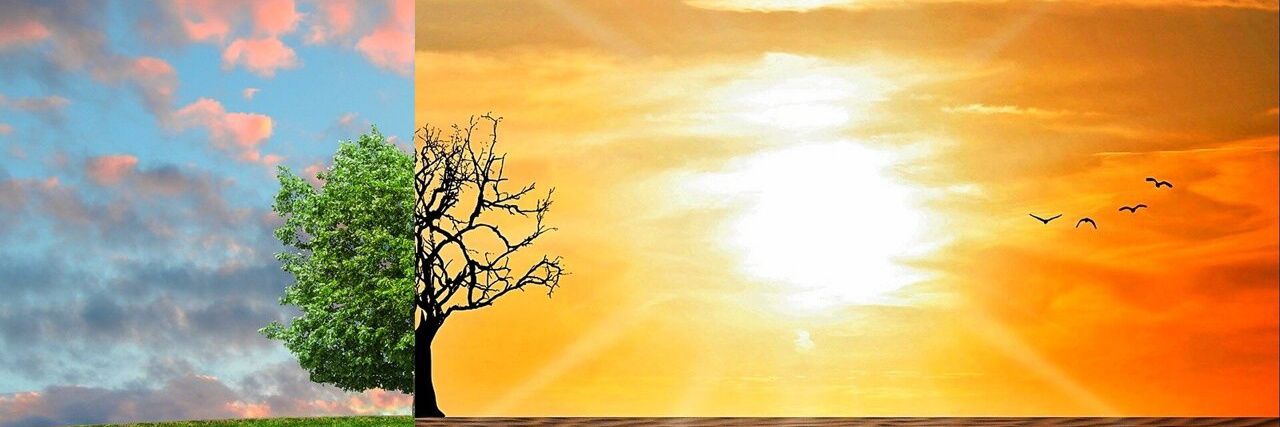 mahadevsemwal's profile banner image