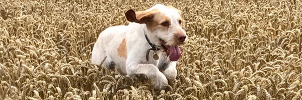 LexiHambro Profile Banner