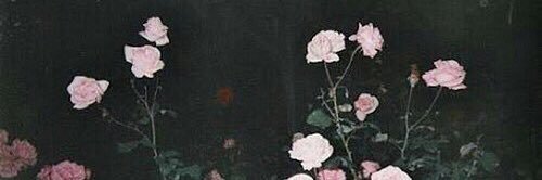 96127a's profile banner image