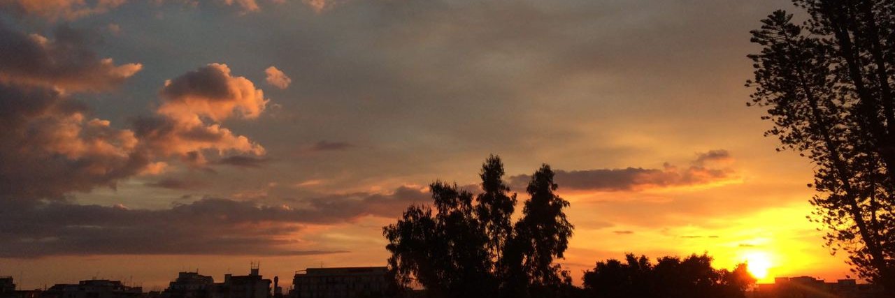 marta_regolo's profile banner image