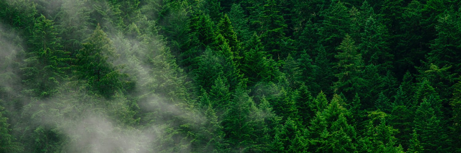 MattRhodes93's profile banner image
