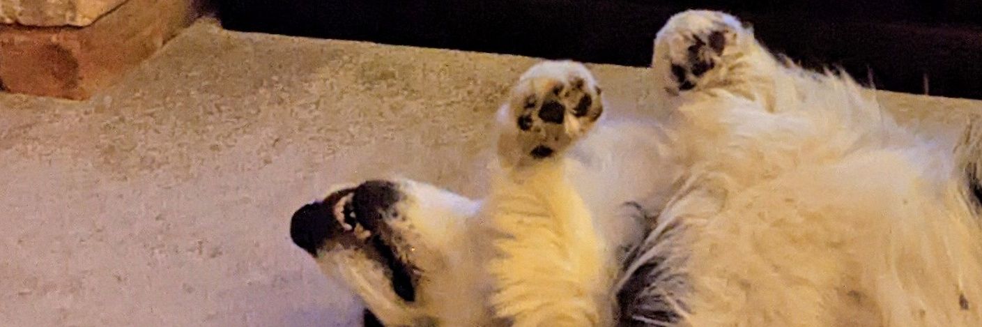 Stephen Porter #MK #Bucks #NHS banner