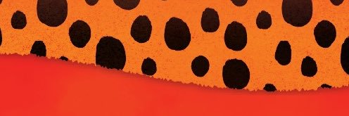 McDonnellFiona's profile banner image