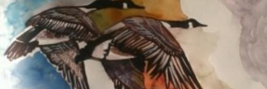 AmnaSwaleh's profile banner image