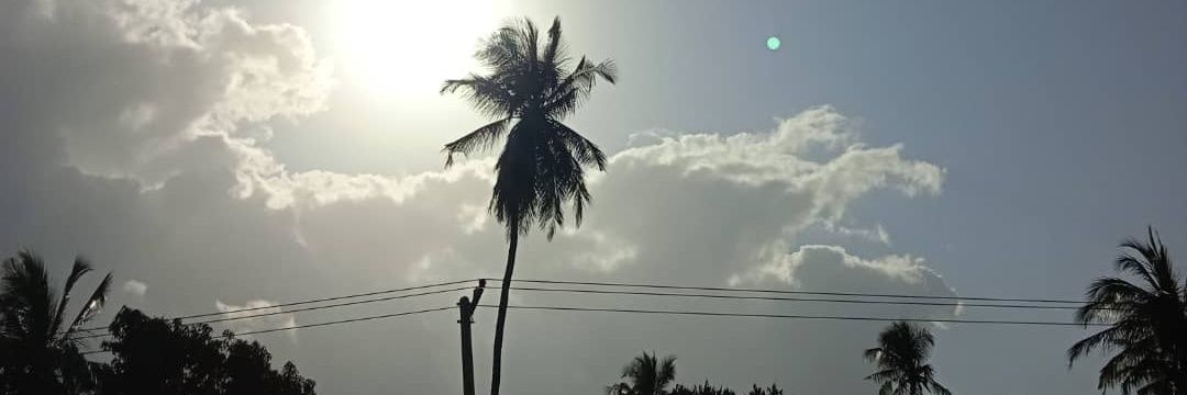 munyaek's profile banner image