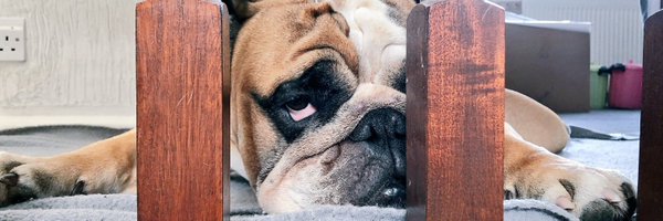 LeightonTreagus Profile Banner