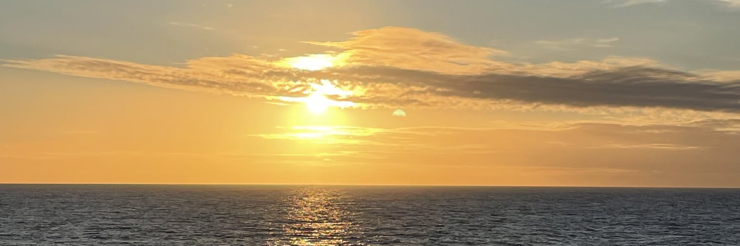 TheSkyeLife's profile banner image