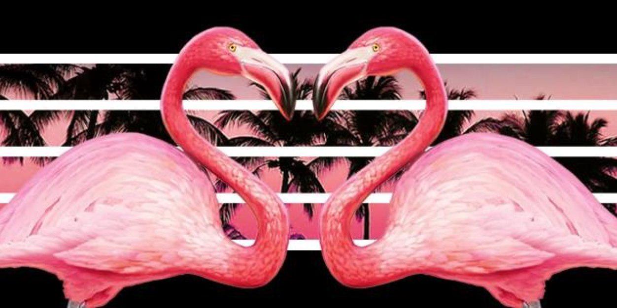 IcyShot's profile banner image