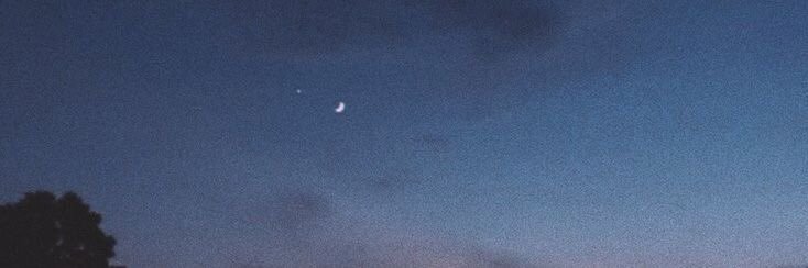 nitpicker23's profile banner image