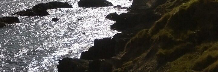 oconnororla1's profile banner image