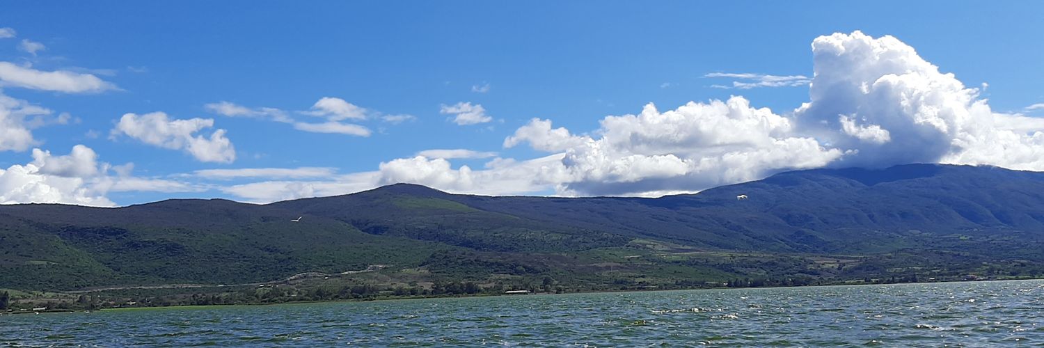 ealonsoph's profile banner image