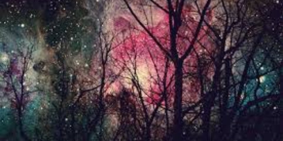 EksteenCleo's profile banner image