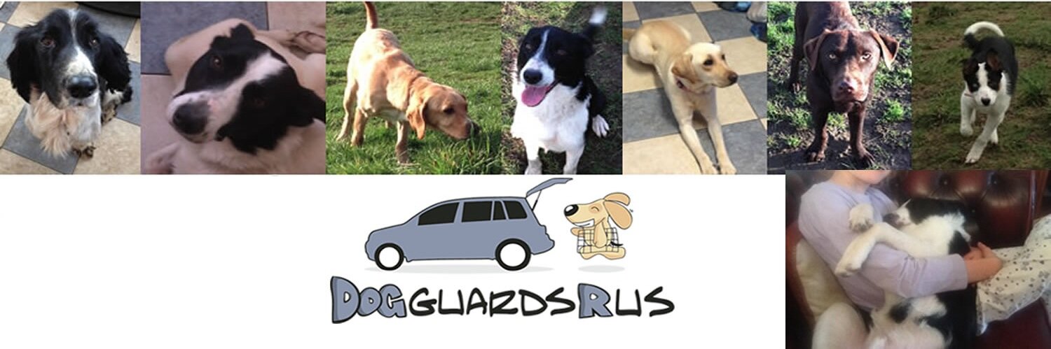 Dogguardsrus's profile banner image