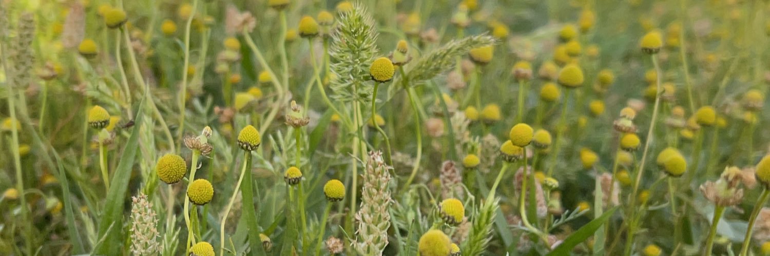 فهد العتيبي 🤍 banner