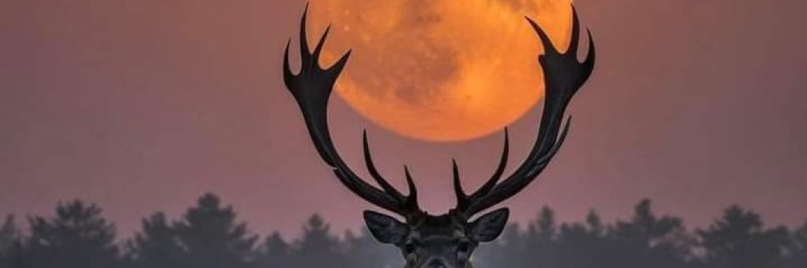 juliush23's profile banner image