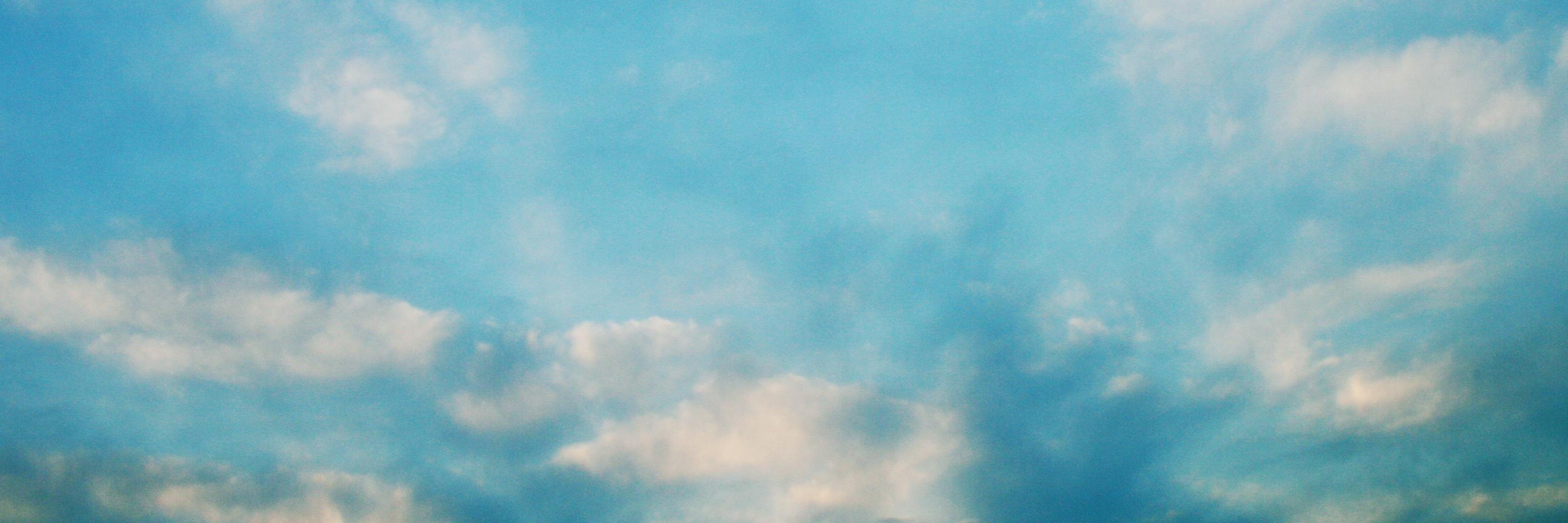 ldileh's profile banner image