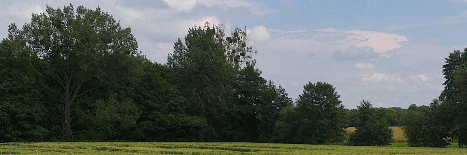 ArnumWetter's profile banner image