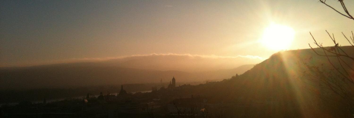 Bettina Höchtl banner