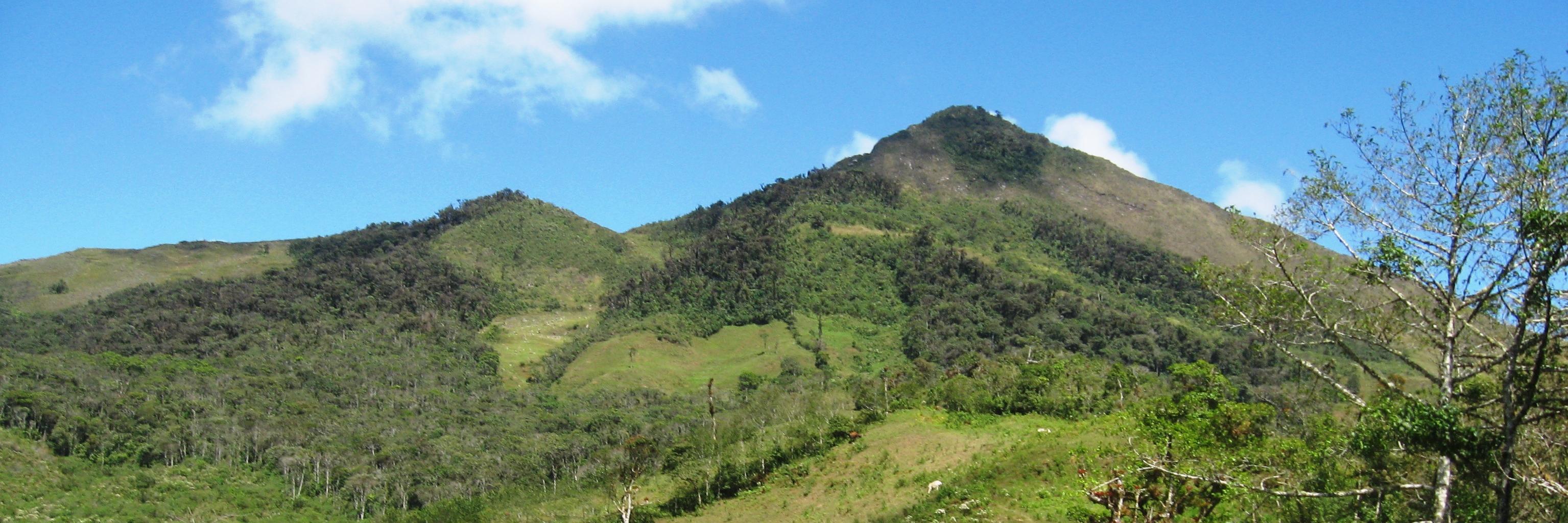 DeisyCubas's profile banner image